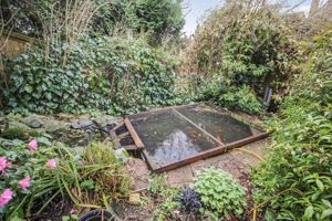 FISHPOND- click for photo gallery